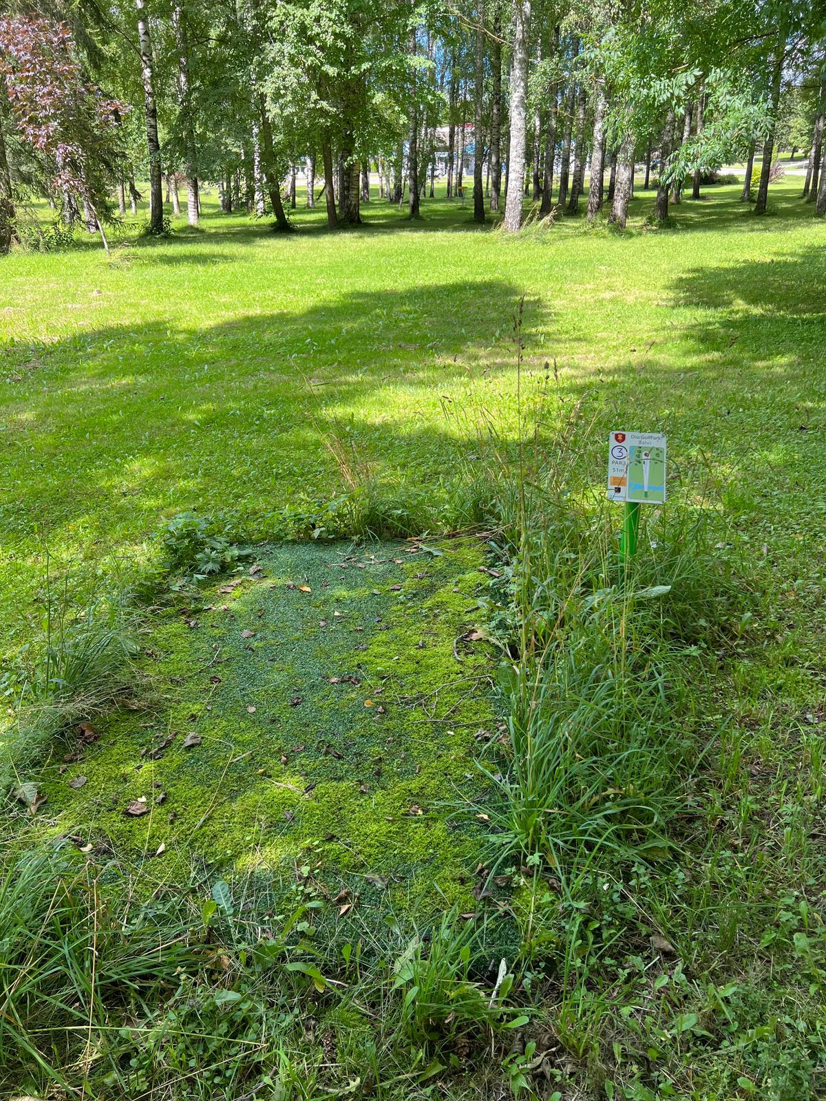 Some tee pads with moss.