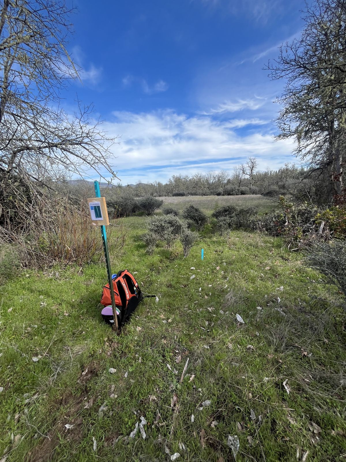 Tee Box 11 for "Buck 9"