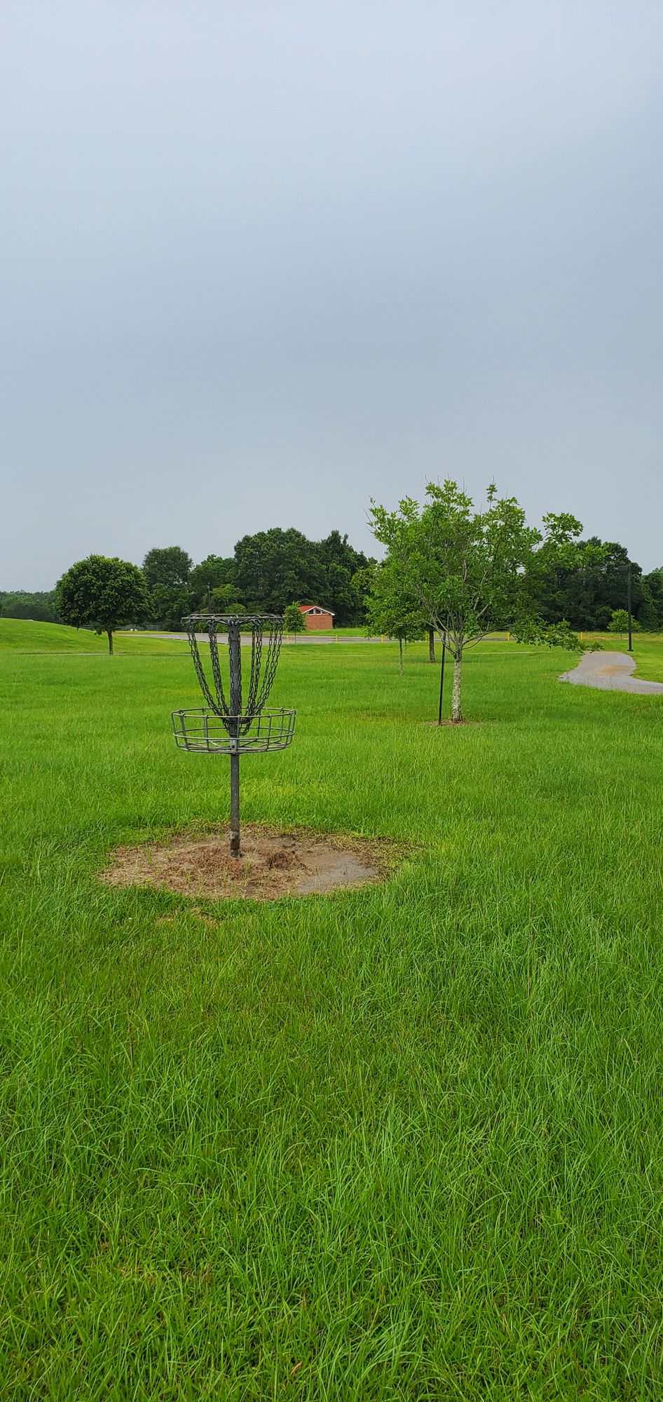 Hole #12