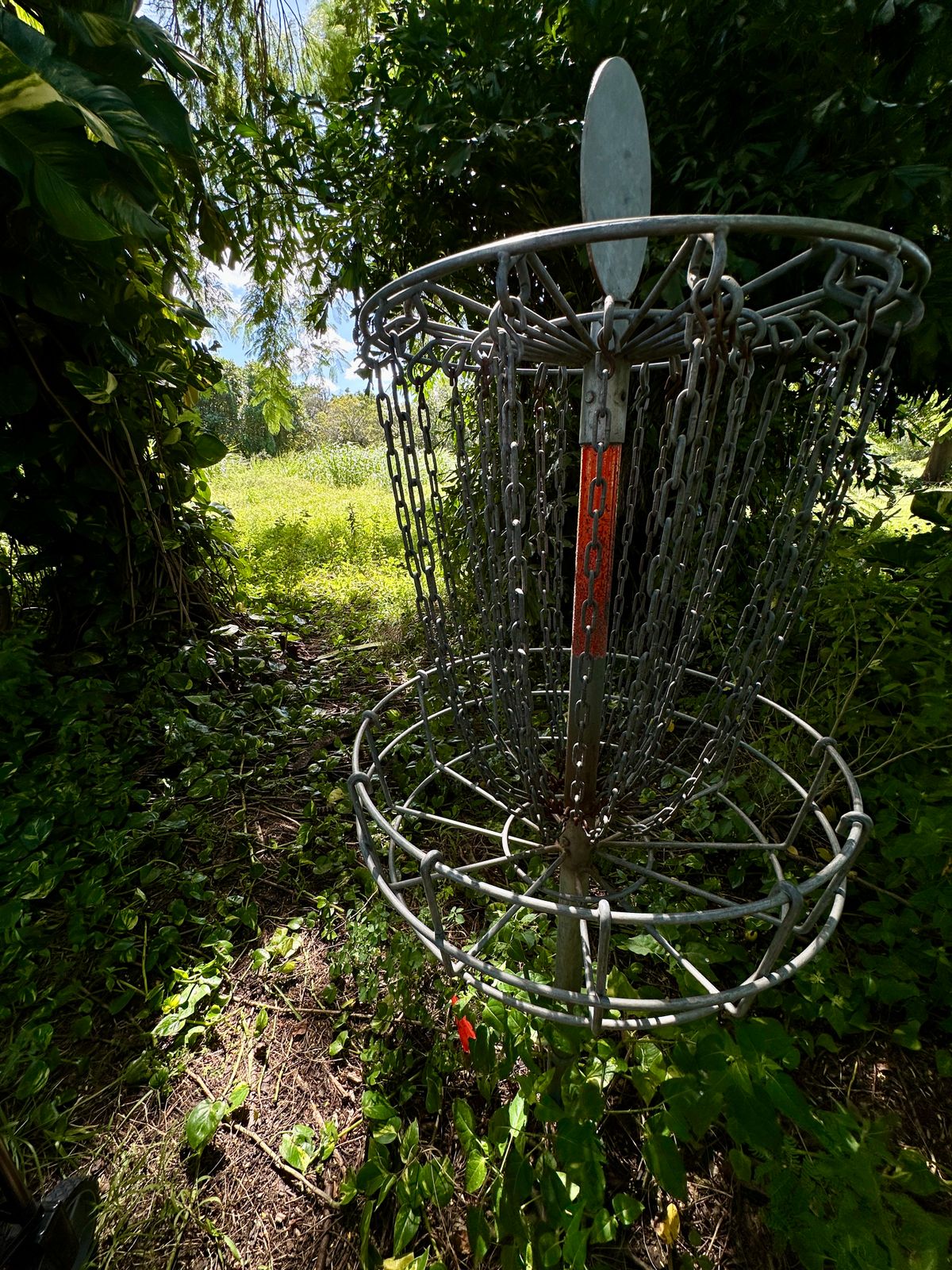The greens are all overgrown. The course looks abandoned.