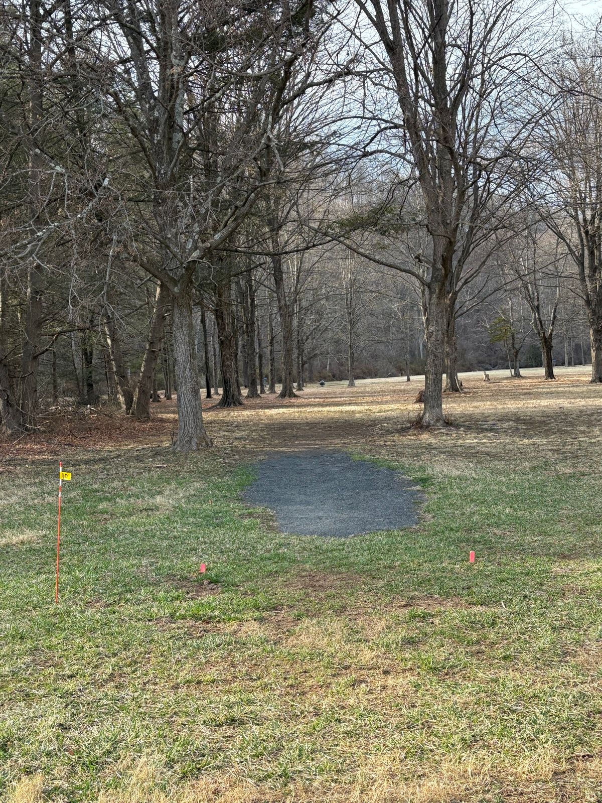 Proposed hole 10 is about 10 feet back from the gravel position.