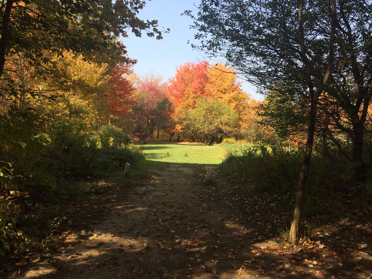 Hole 12