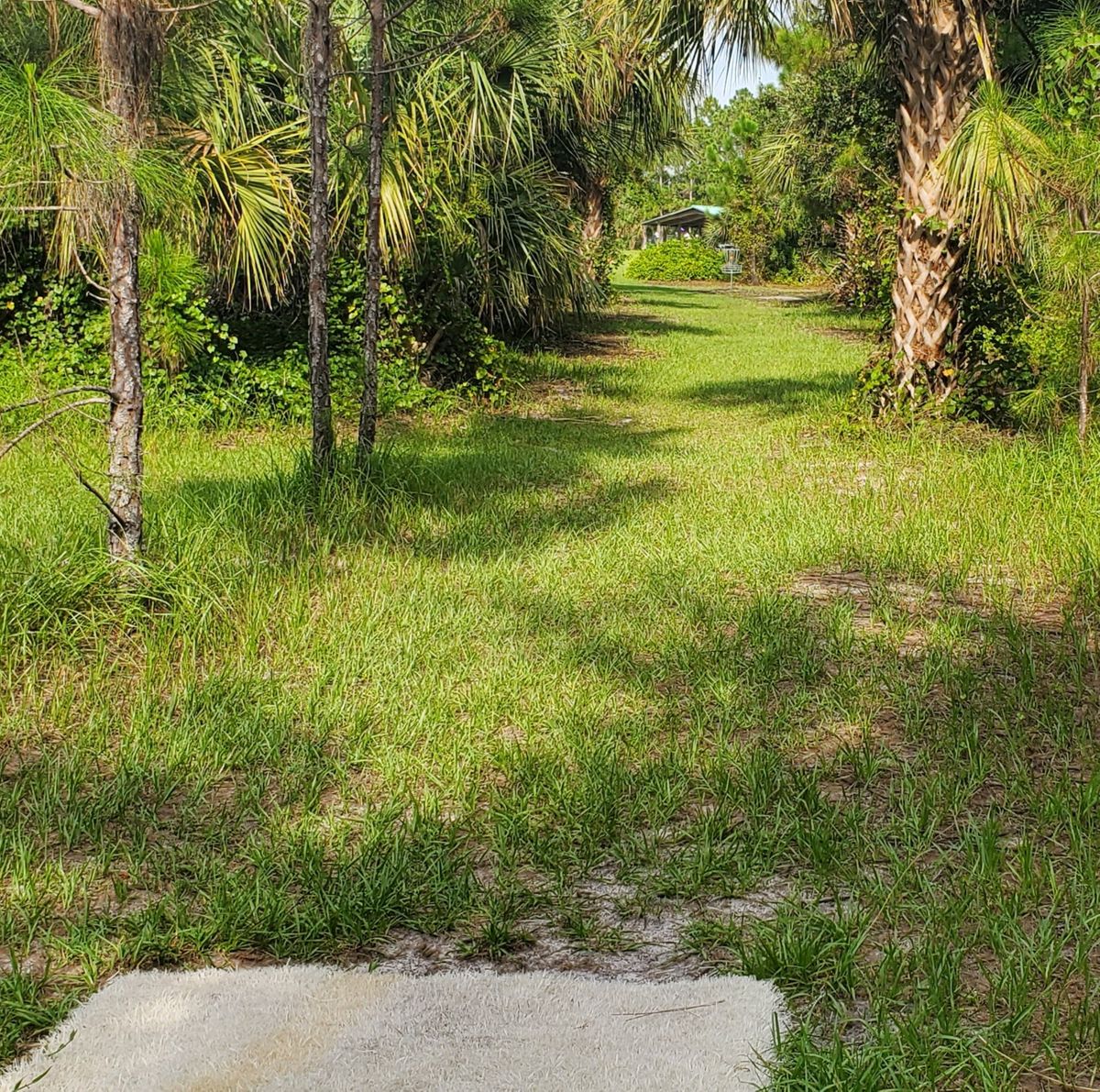 Hole 8