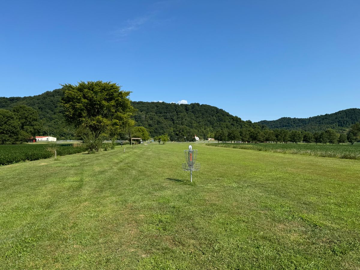 Hole 3 Basket to Tee