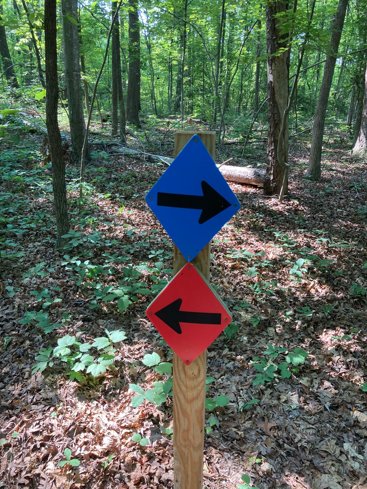 Signage is excellently marked.