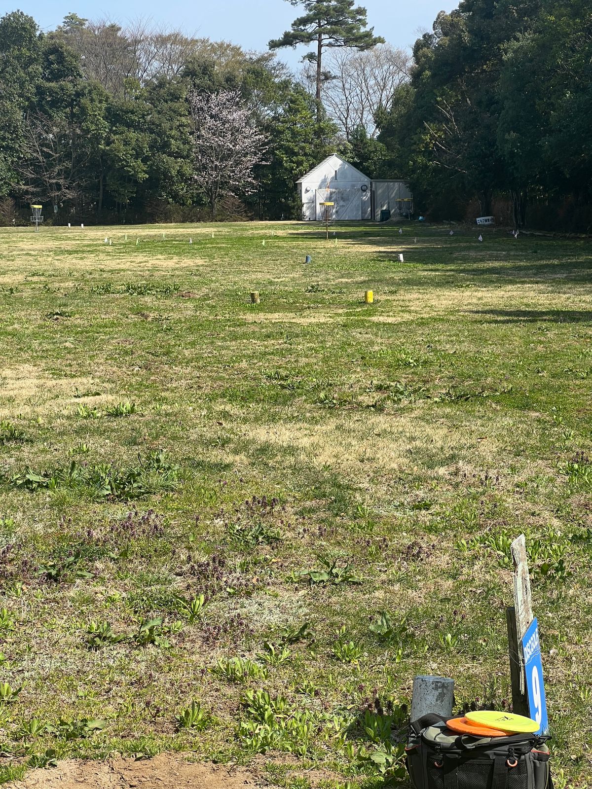 Land in the island of flags/rope, everywhere else is OB. The penalty box is the blue tee.