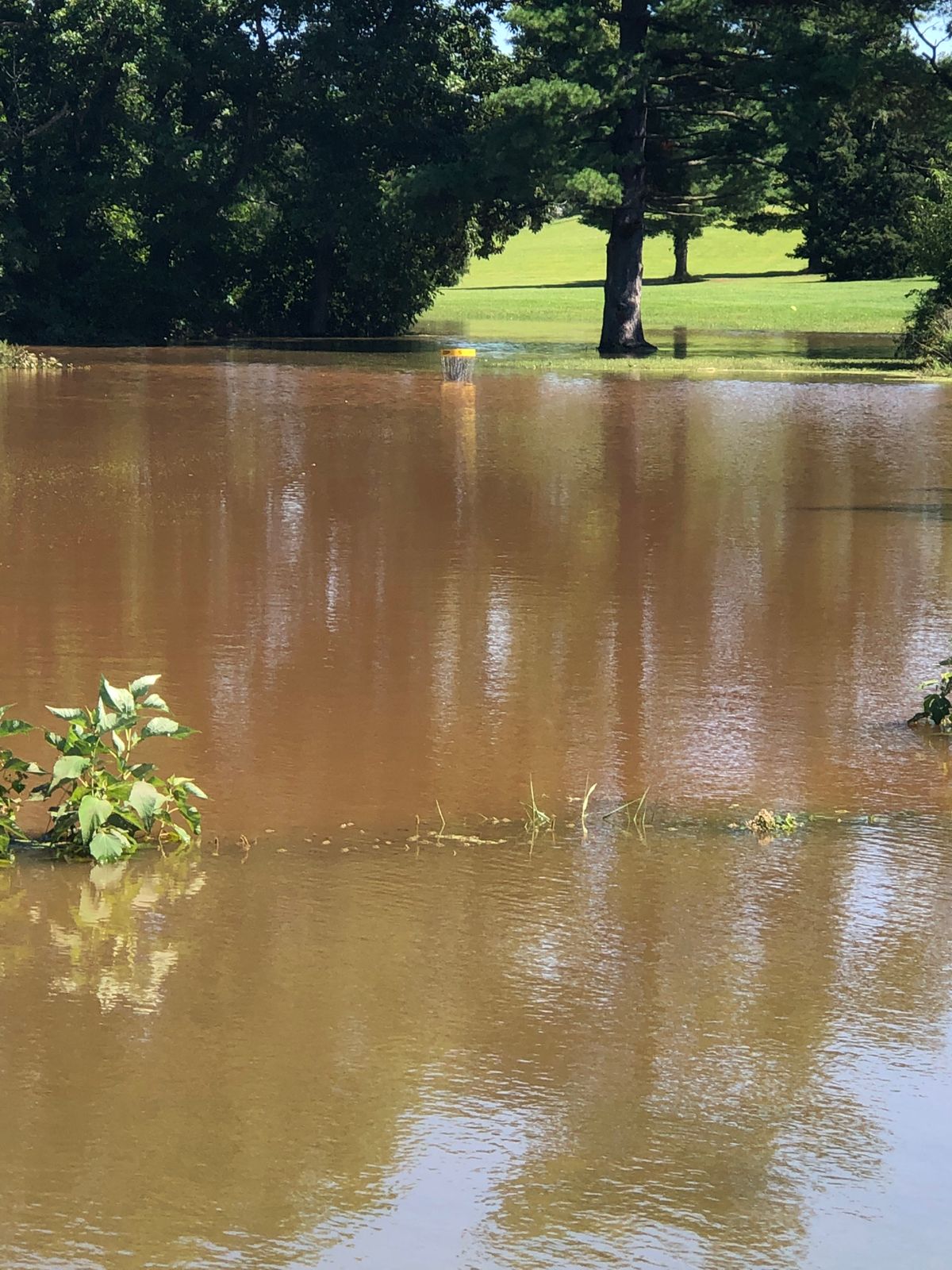 Hole 5 under water right now.
