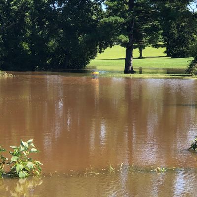Hole 5 under water right now.
