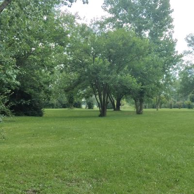 Hole 3 Blue tee, second group of trees from right side of picture are mando left.
