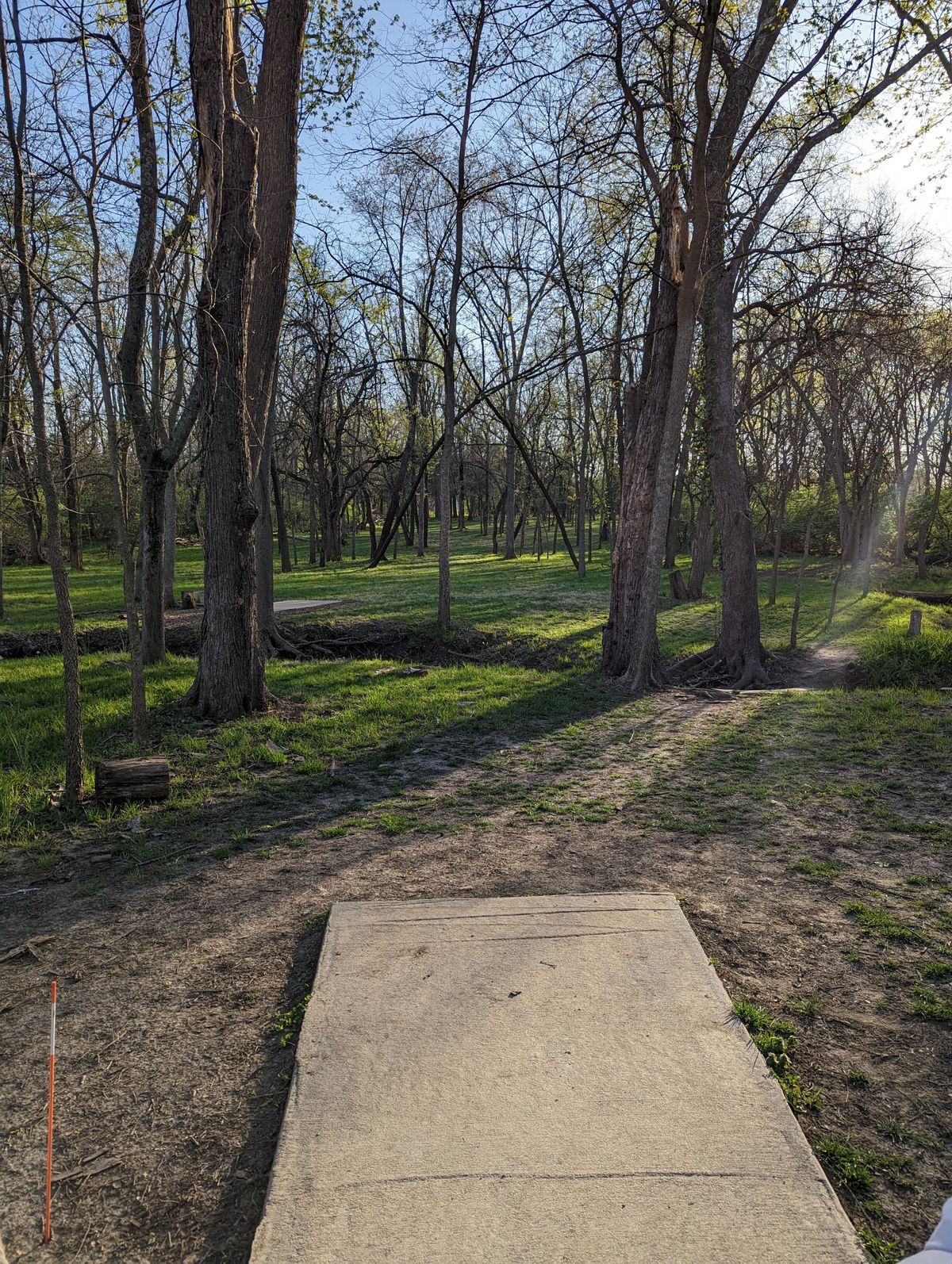 #6 Tee