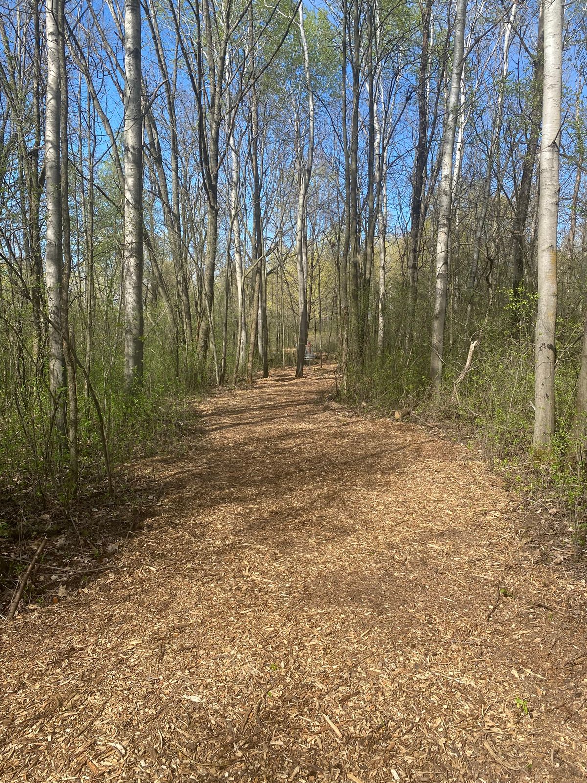 Hole 8 tee