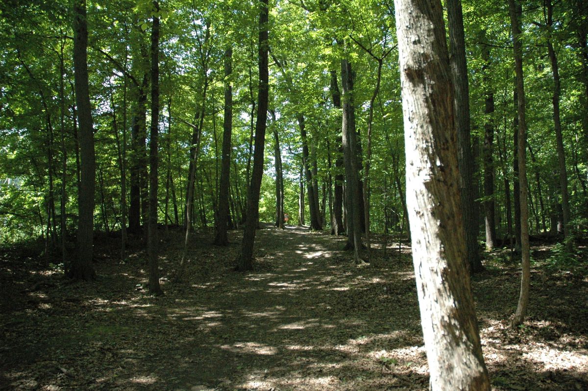 Fairway as seen on the other side of the Creek, basket up on the hill