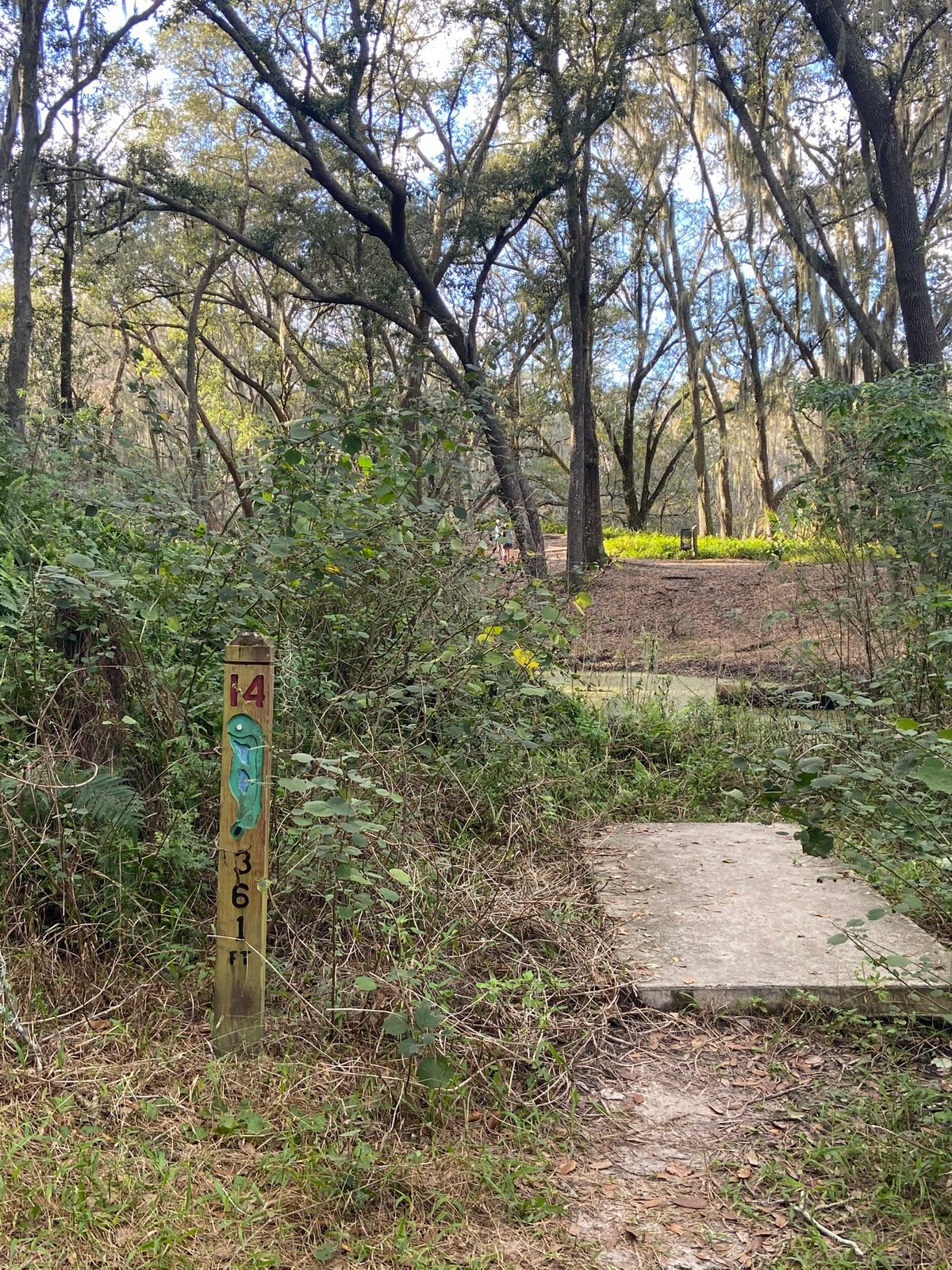 tee 14