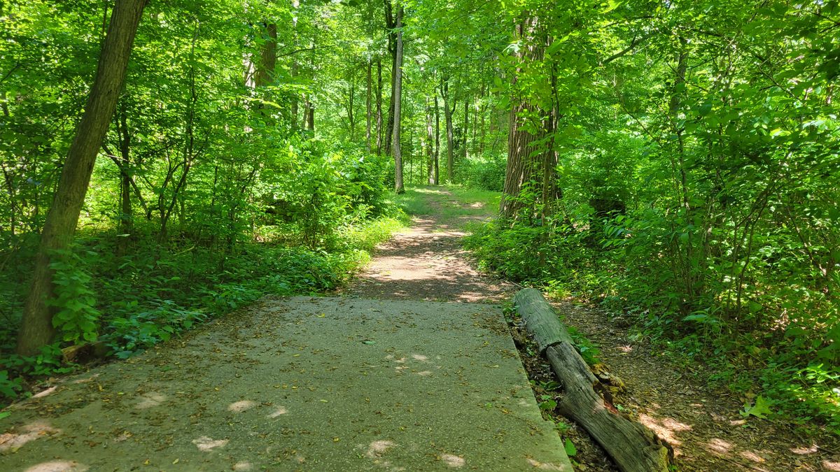 Hole 12 Long Tee