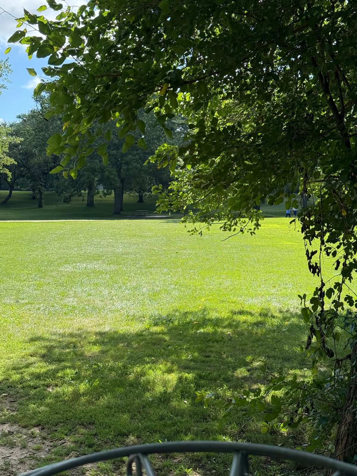 Tee 15 across pedestrian path by the big tree