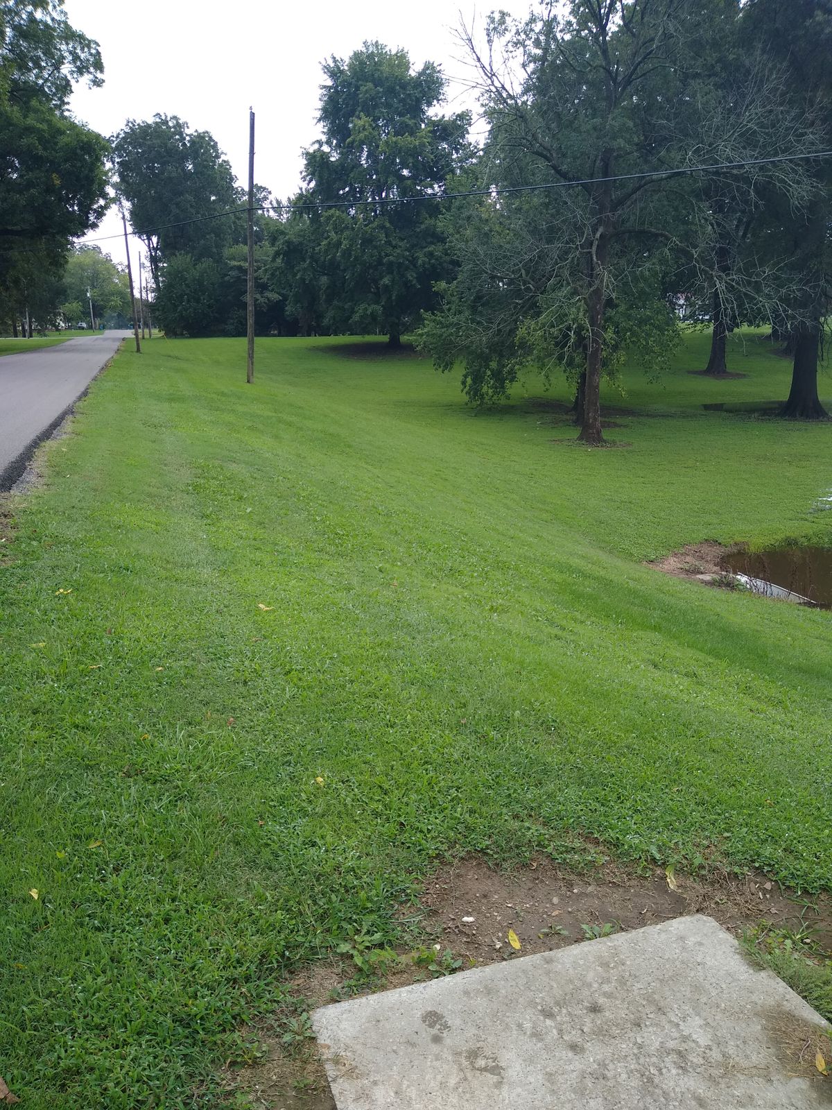 Hole 2 basket is up the hill behind the 2 trees in the middle