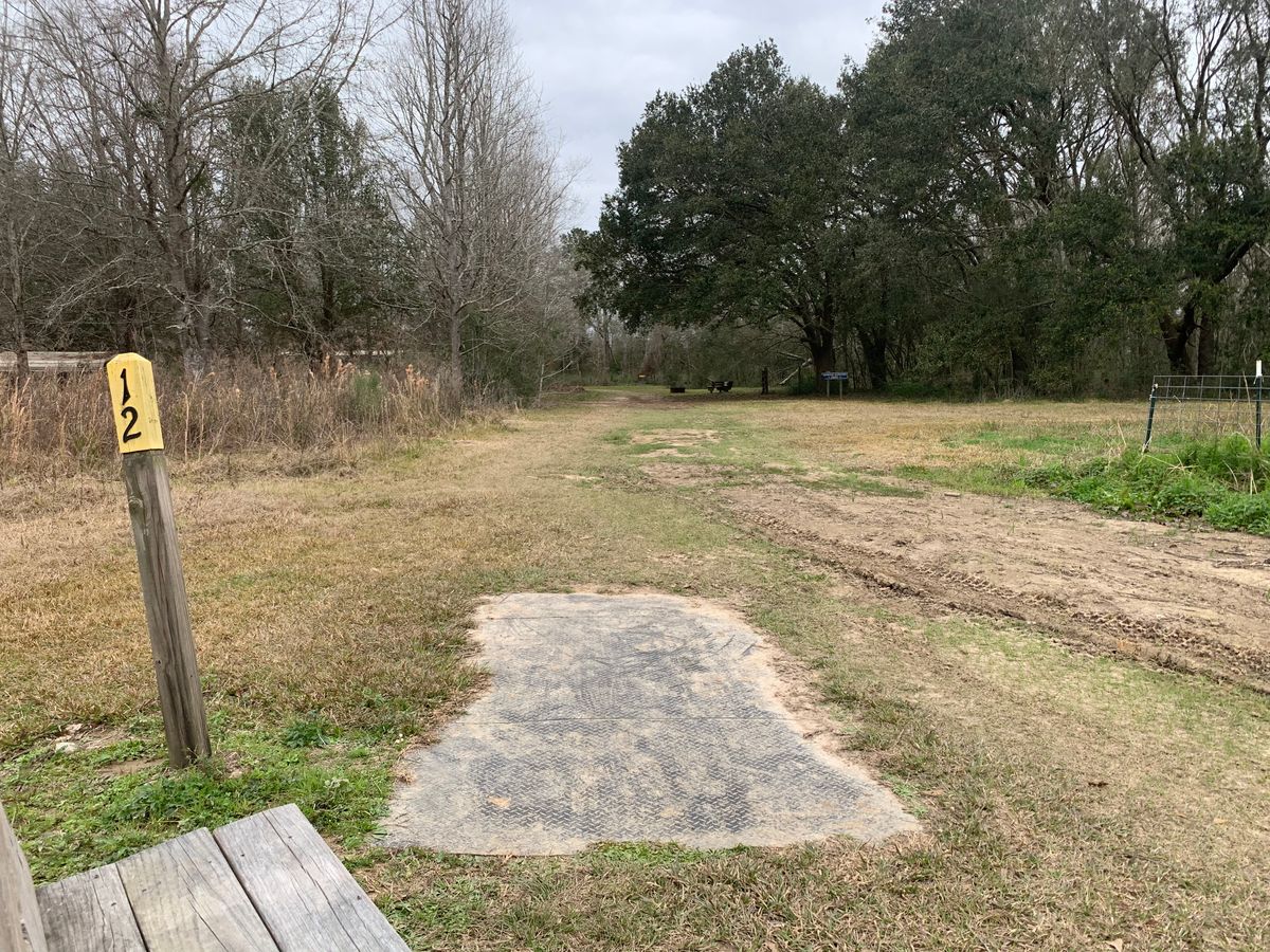 Hole 12 Fairway