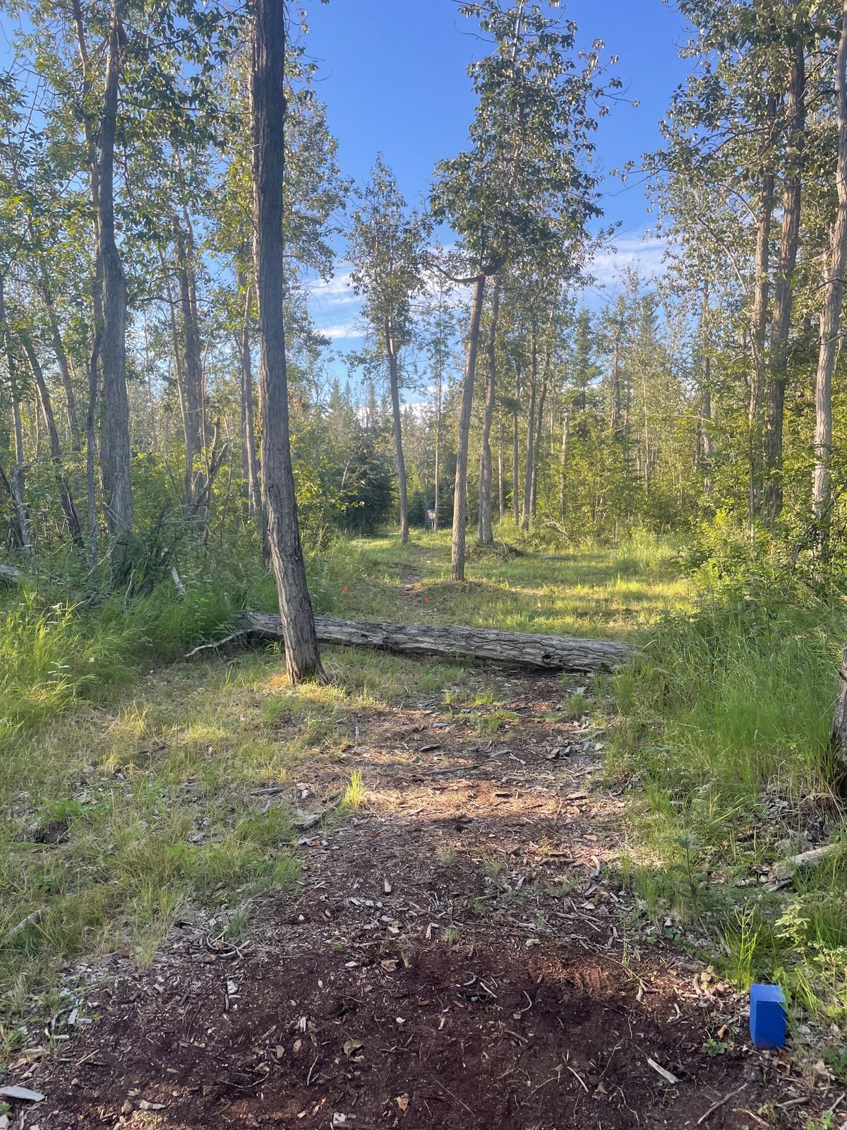 Hole 9 Fairway