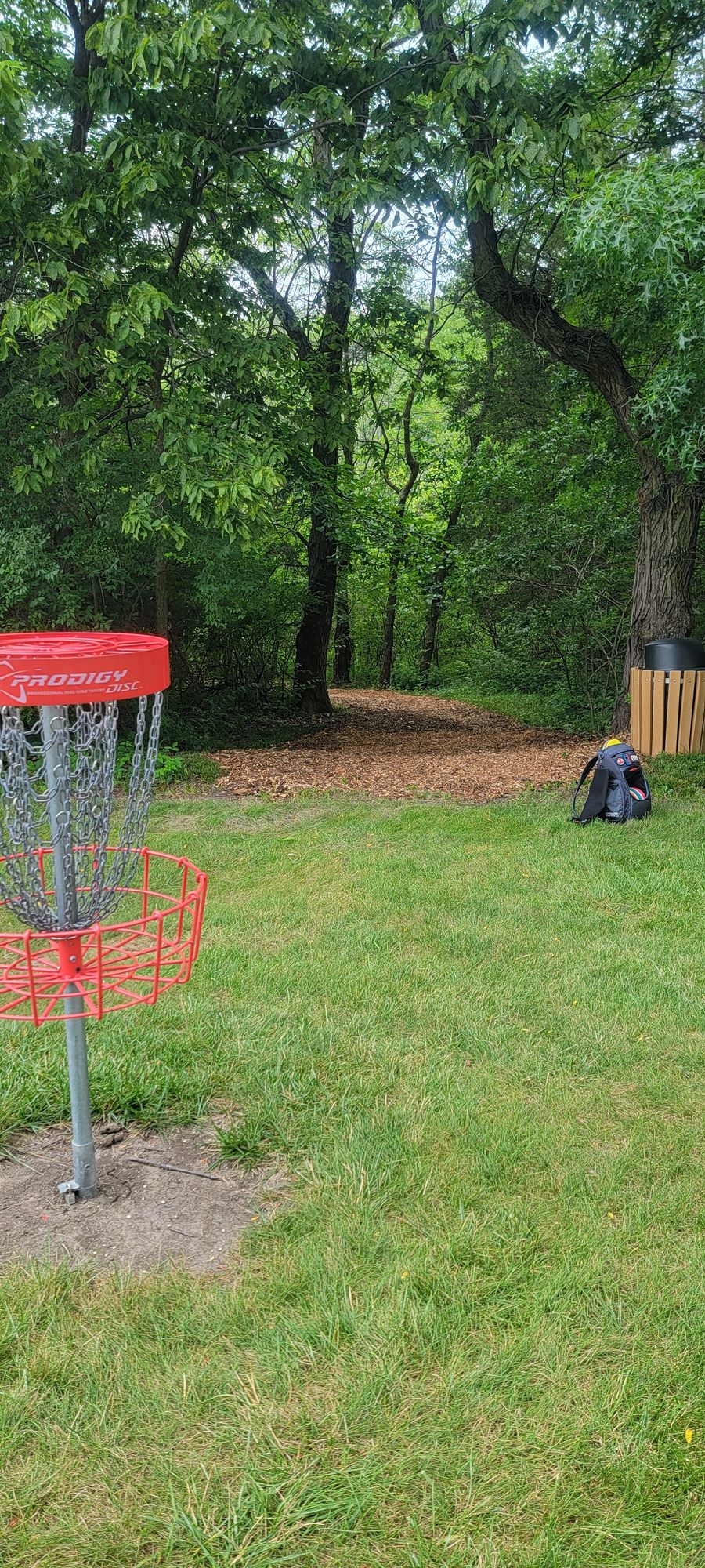Walking path through the woods to get to 10's tee pad directly behind 9's basket.