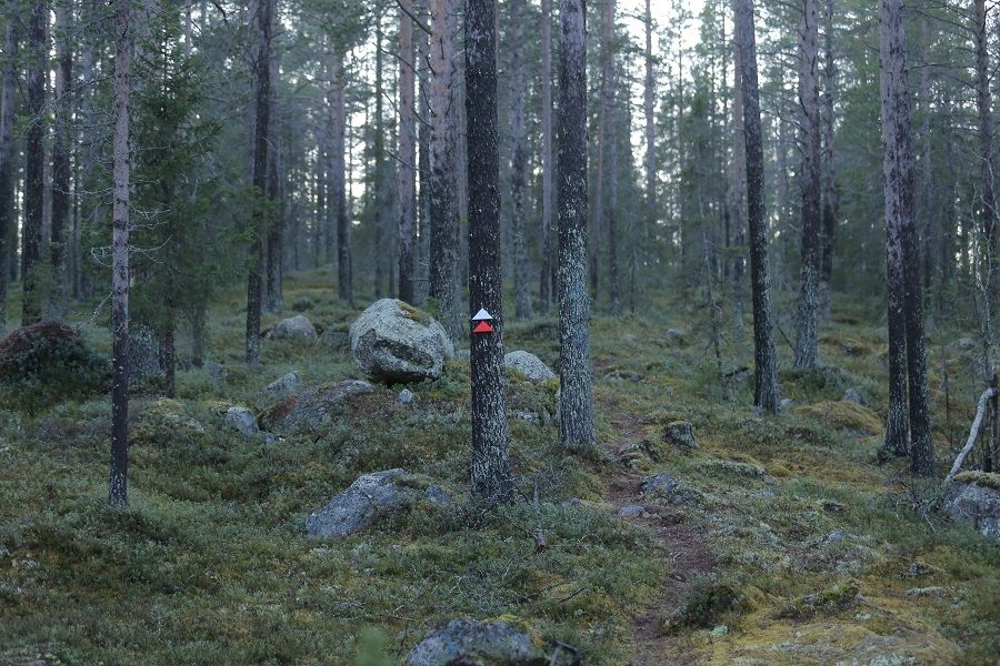 Vägvisare från korg på bana 3 mot nästa tee. Oktober 2024.