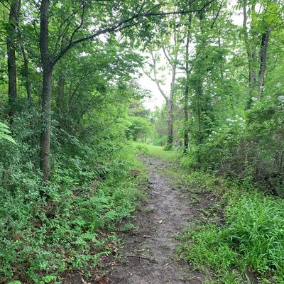 Hole 7