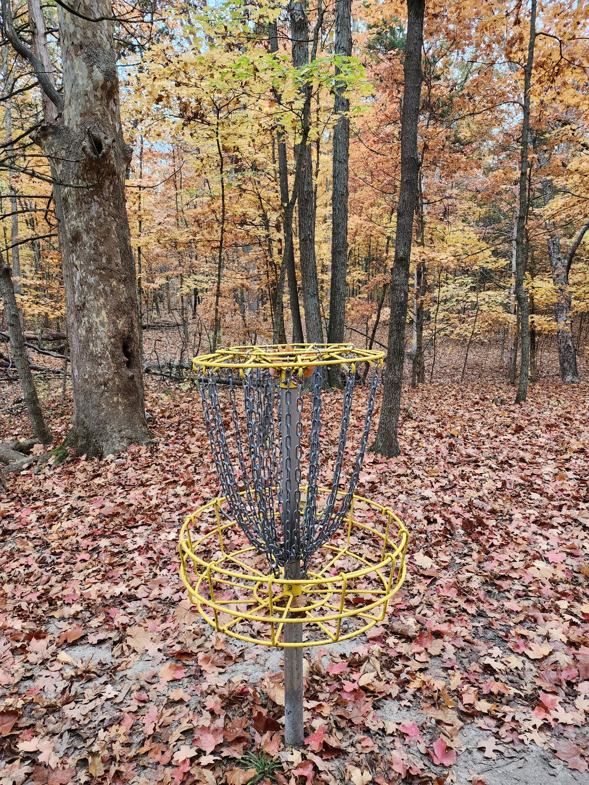 Hole 13