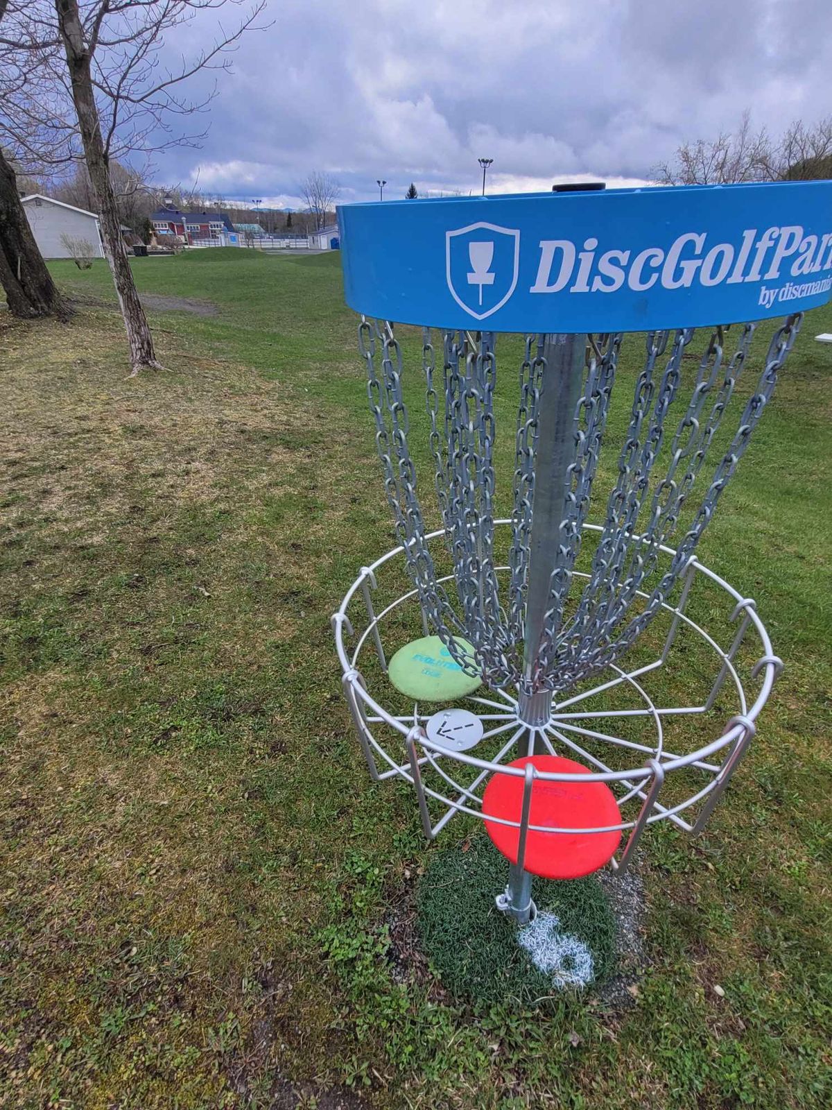 Panier de marque "Discmania"