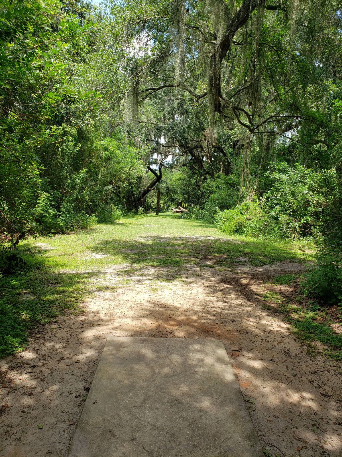 #17 Fairway
