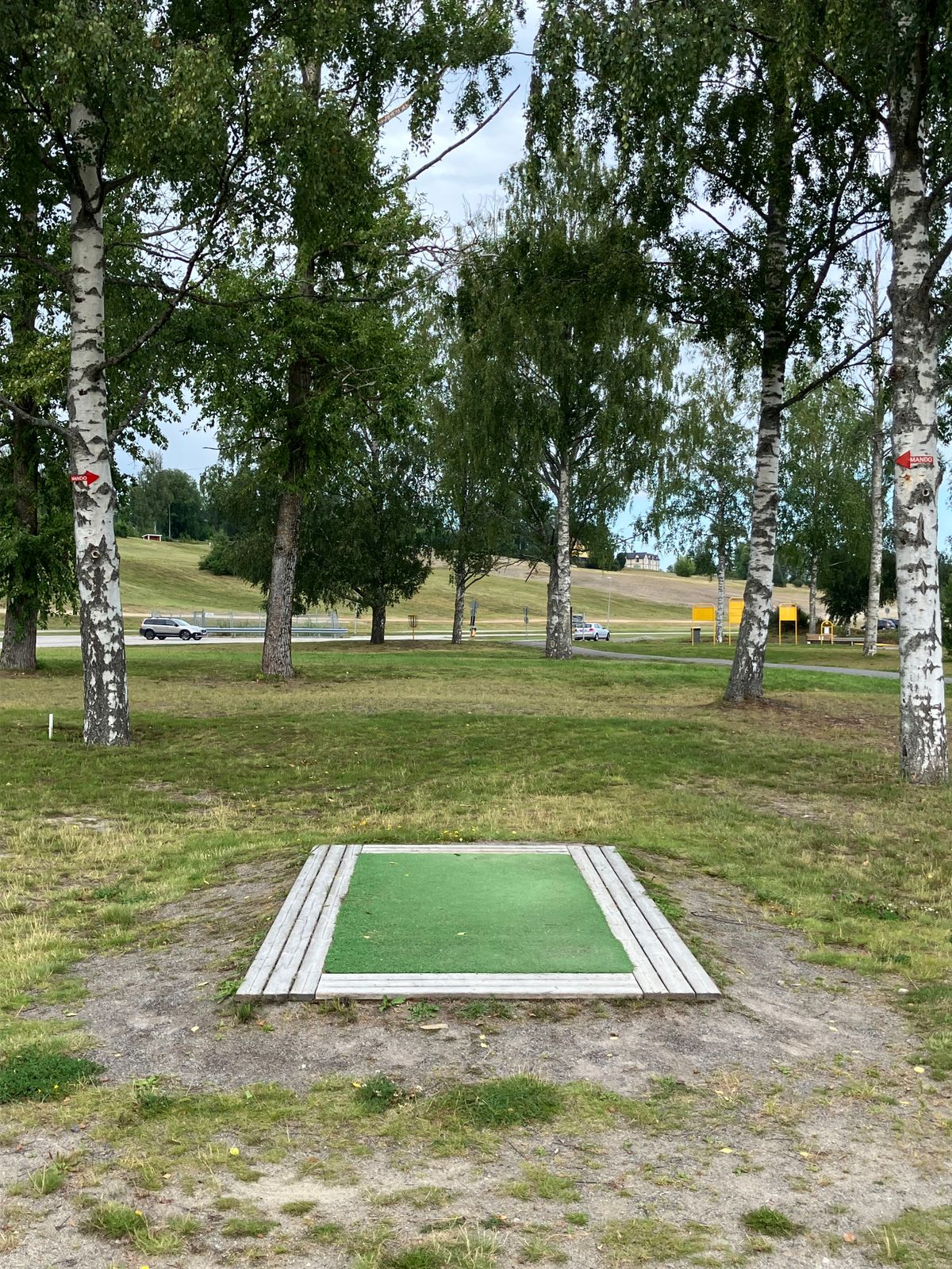 Hål 20 Grön Tee
