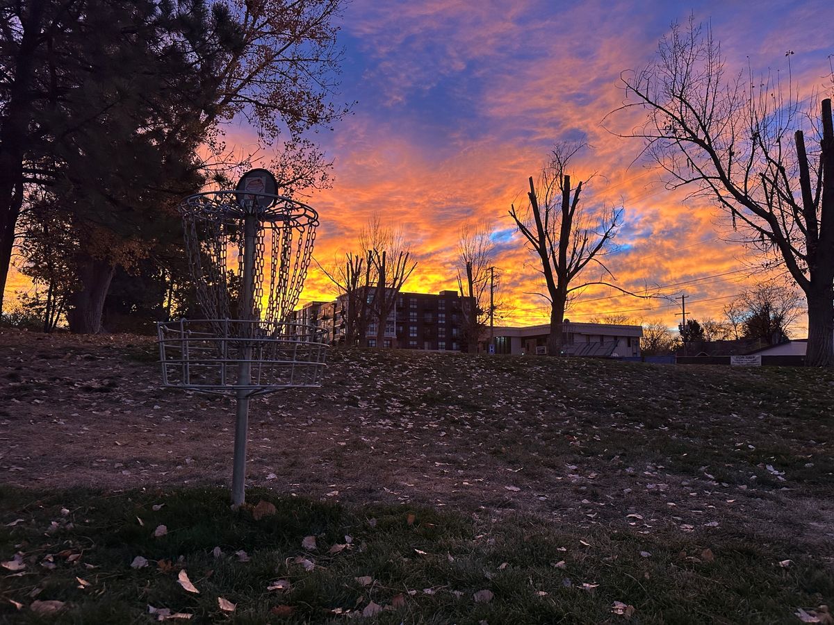 Basket 5 looking back to it’s fairway.