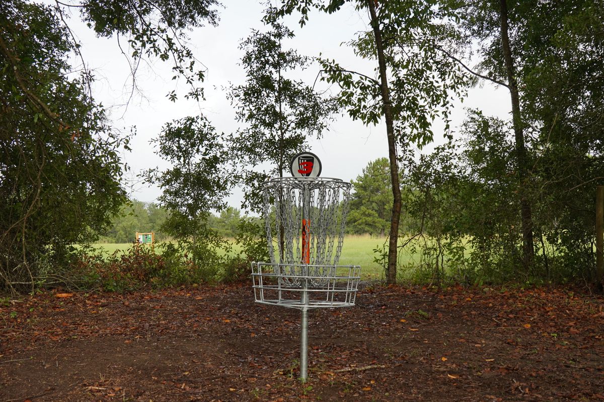 Hole 3’s basket