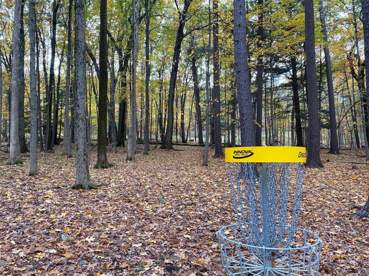 12 basket looking back at blue tee