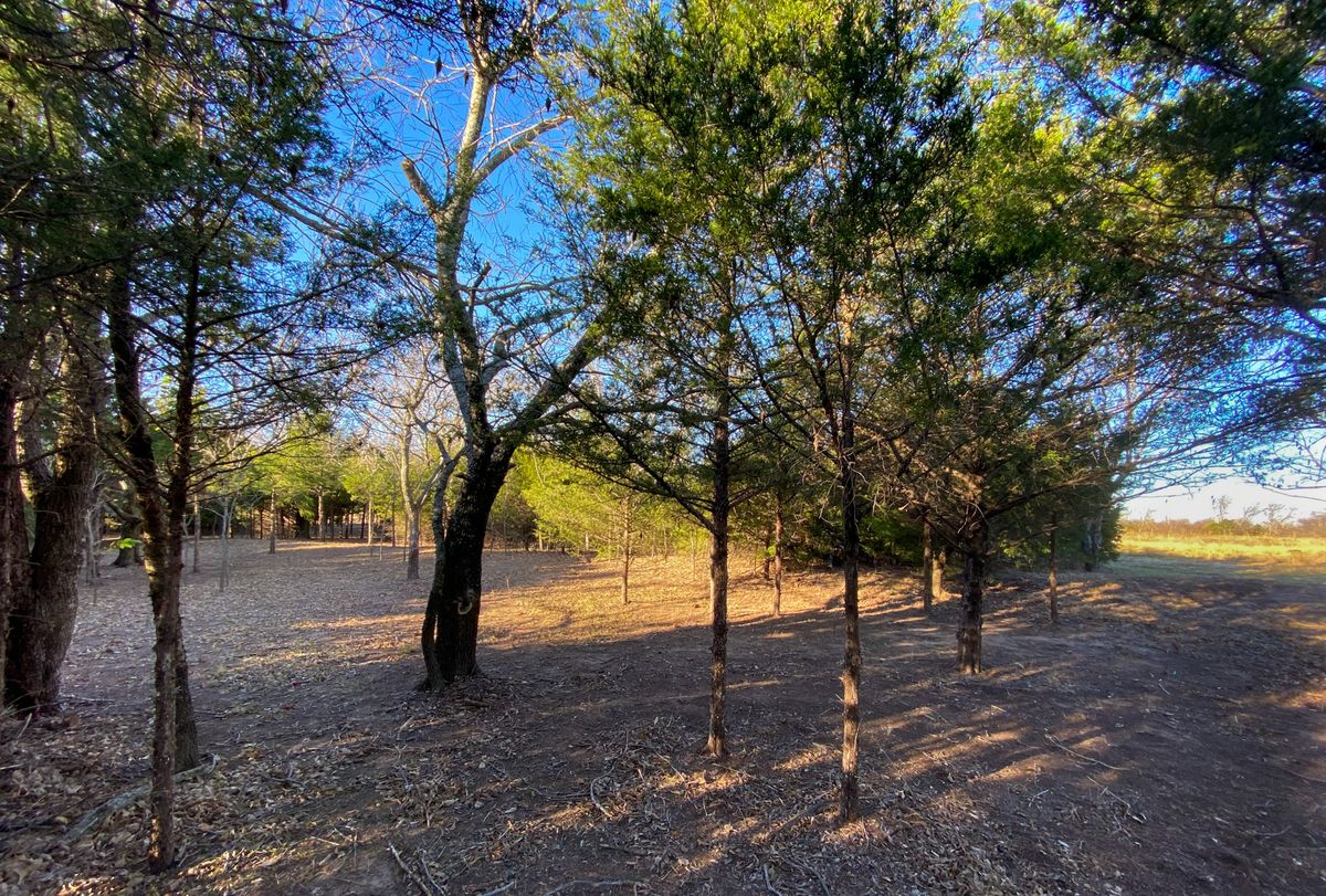#5 Fairway elbow - left back to Tee - - right to green