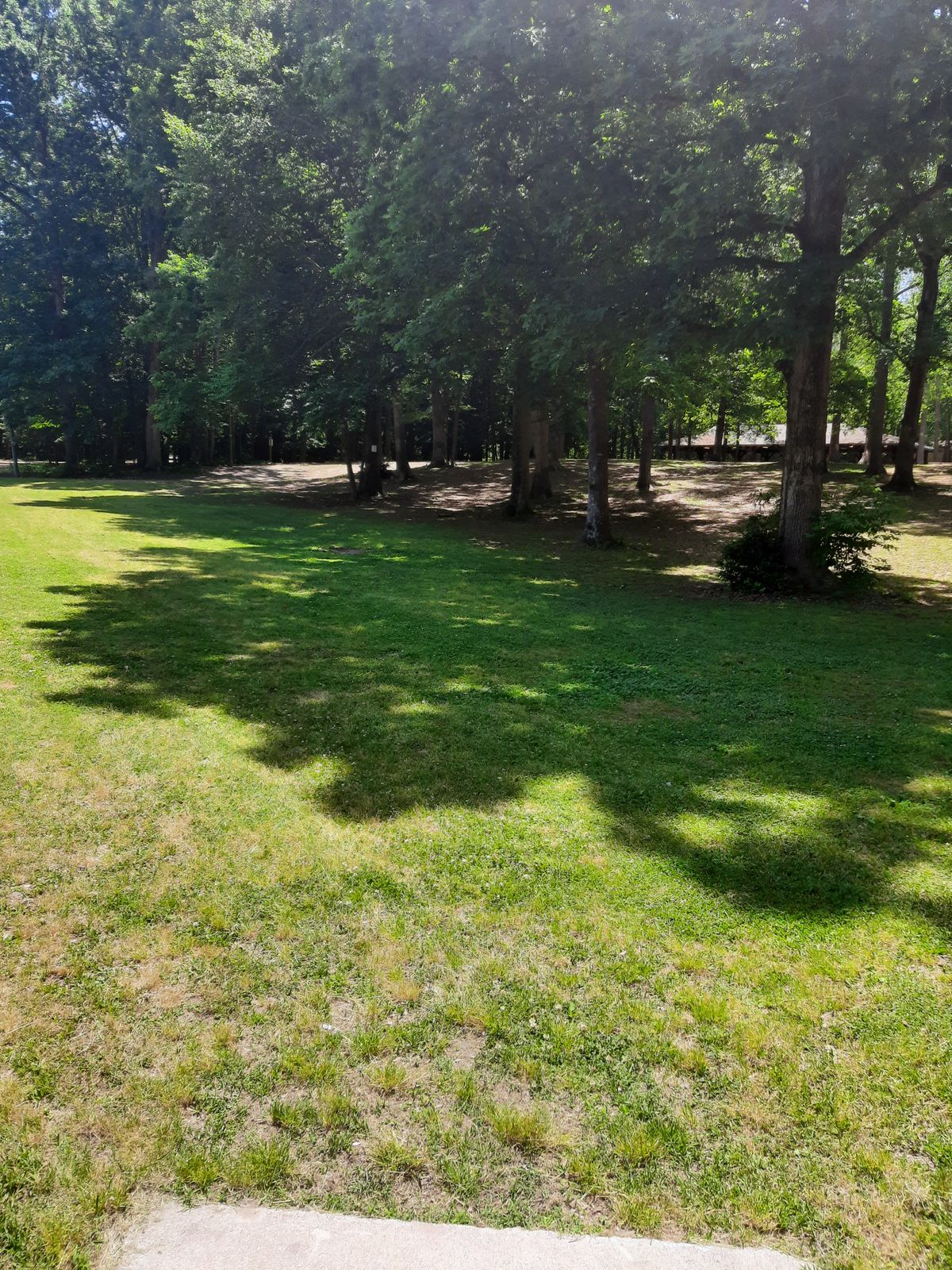 Hole 11 White Tee