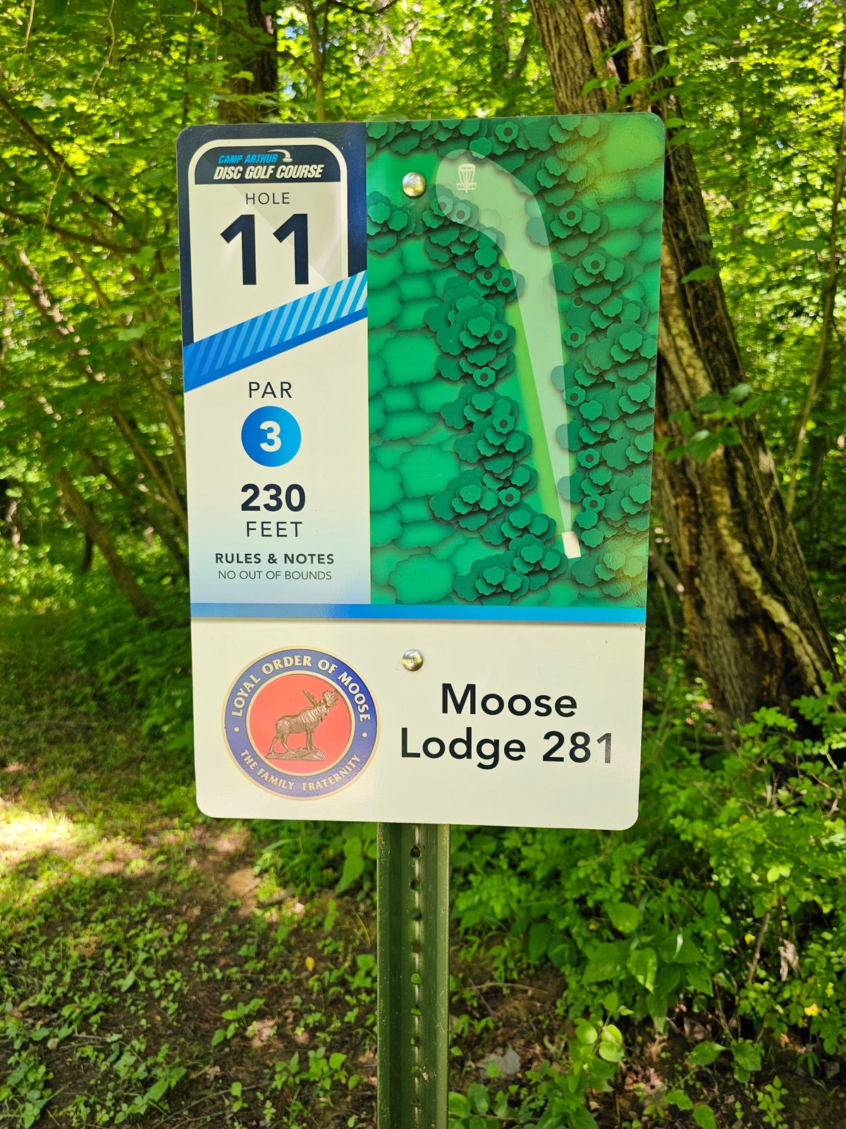 Hole 11