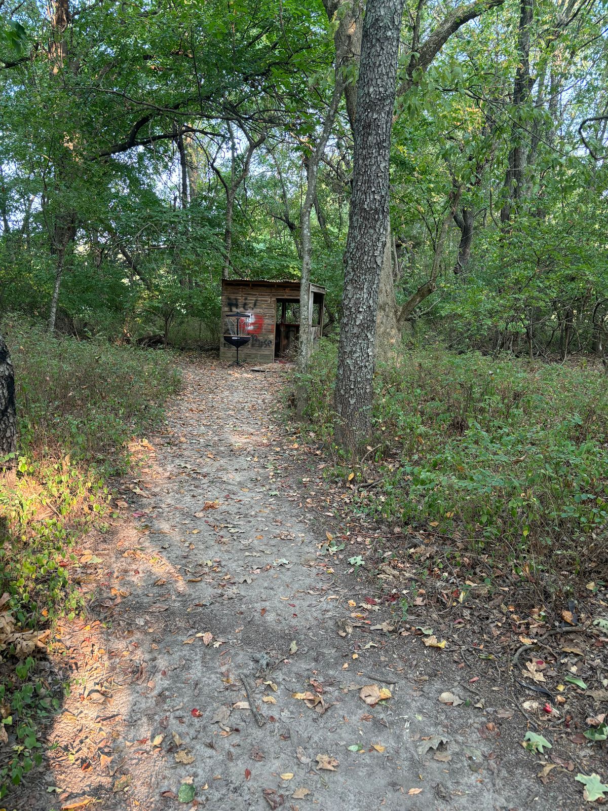 Hole 3