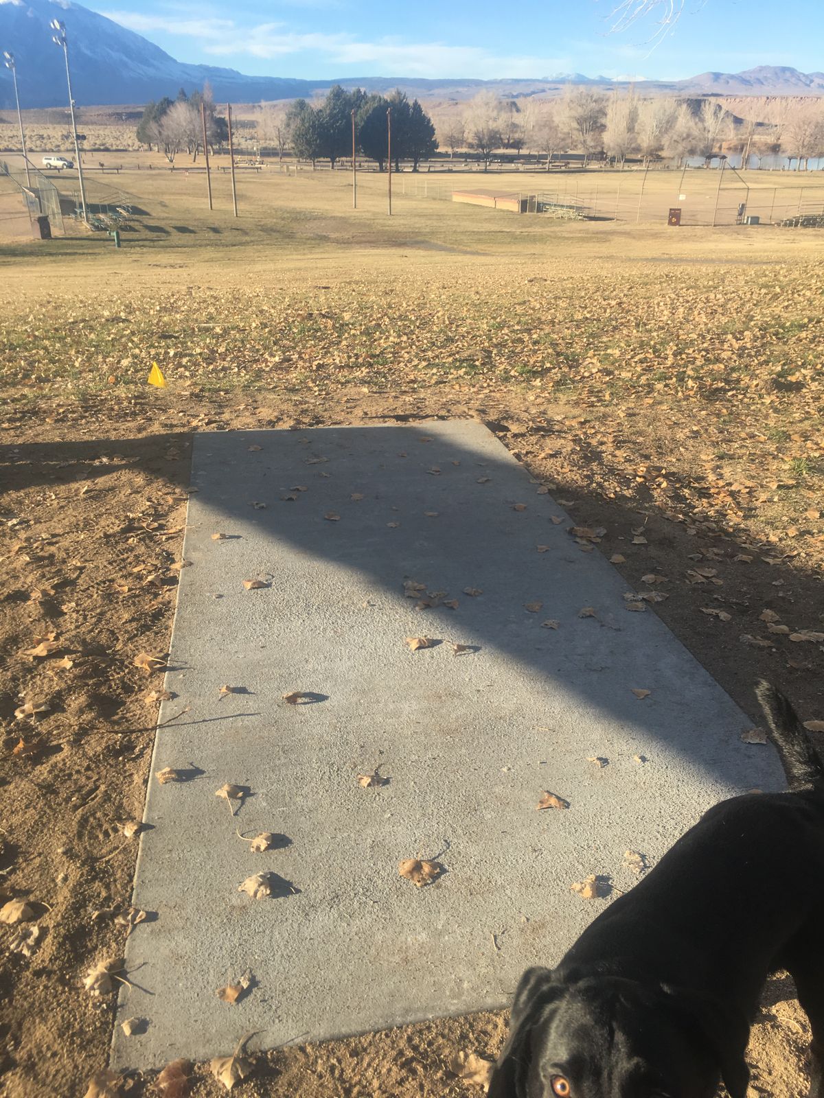 Hole 1 tee pad.