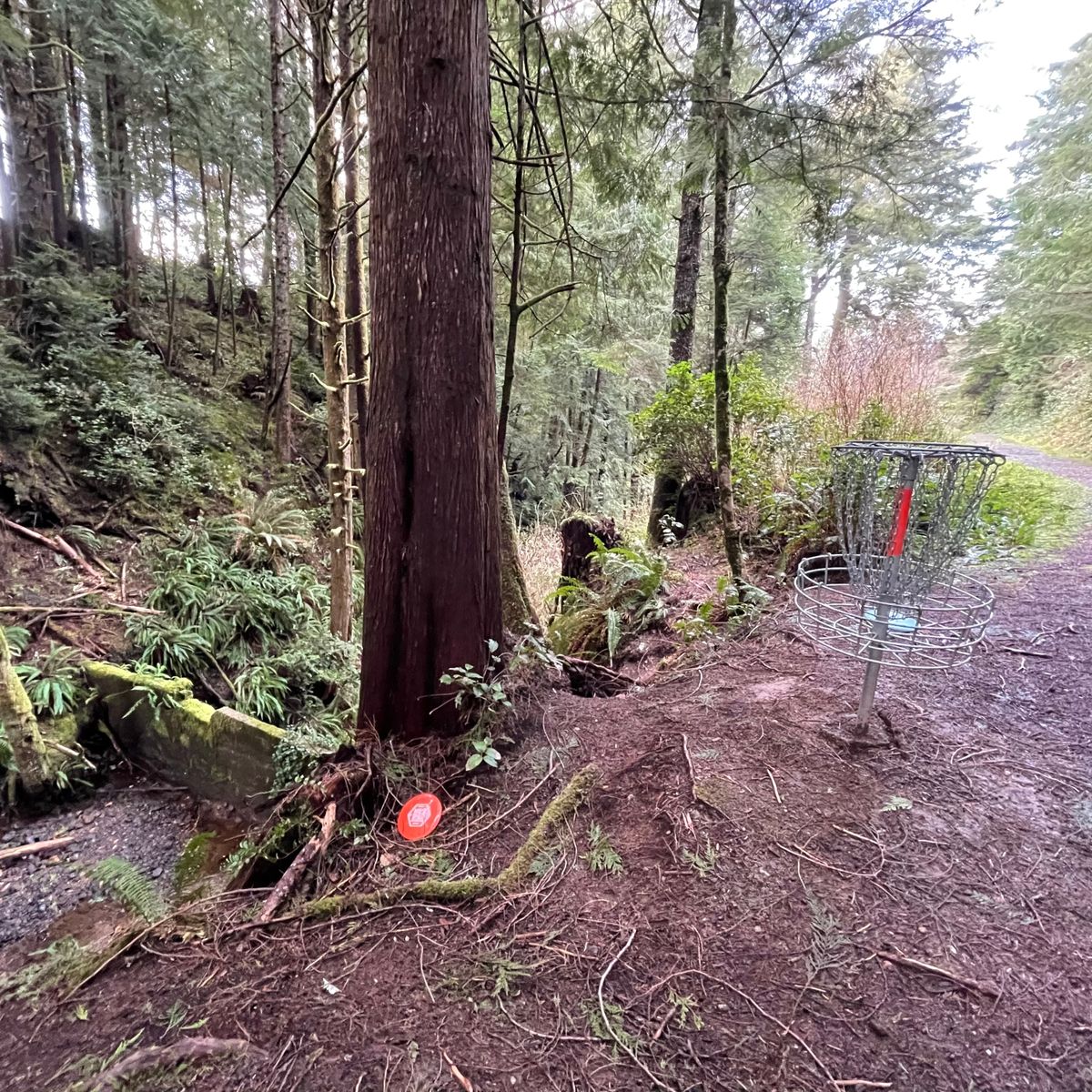Hole 8 - Watch out for death putts.