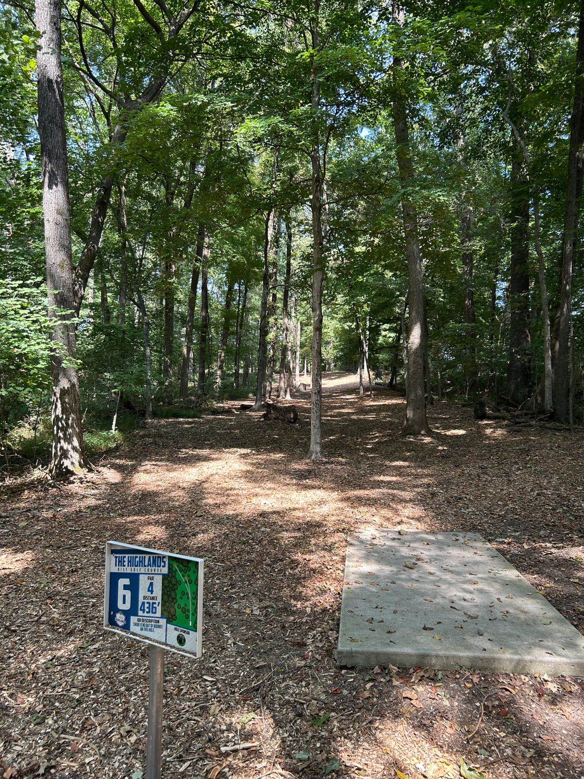 Hole 6 tee