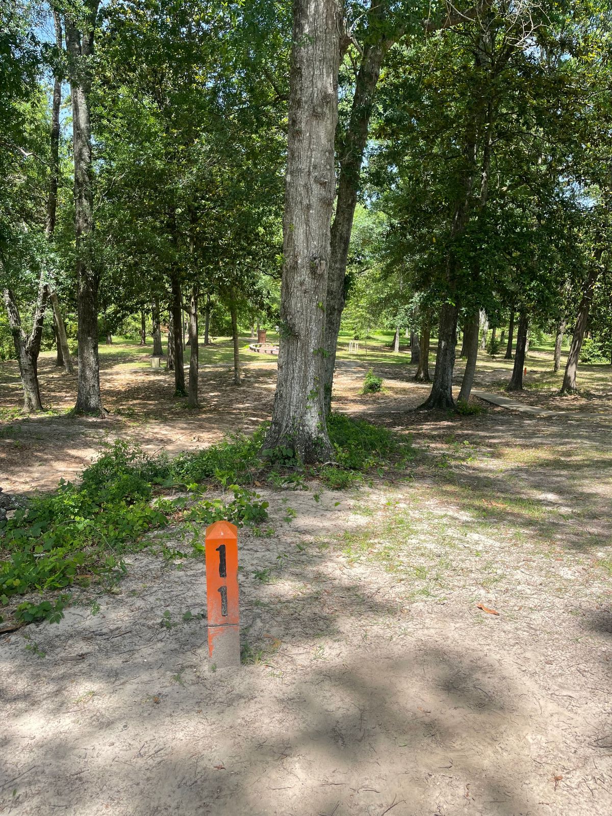 Hole 11