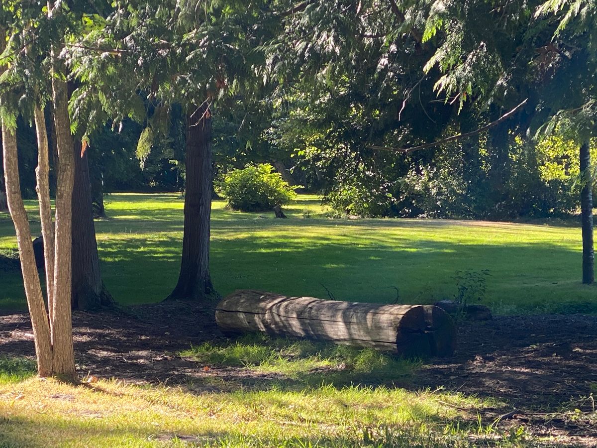 fairways still green . some dusty areas around the baskets though