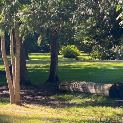 fairways still green . some dusty areas around the baskets though