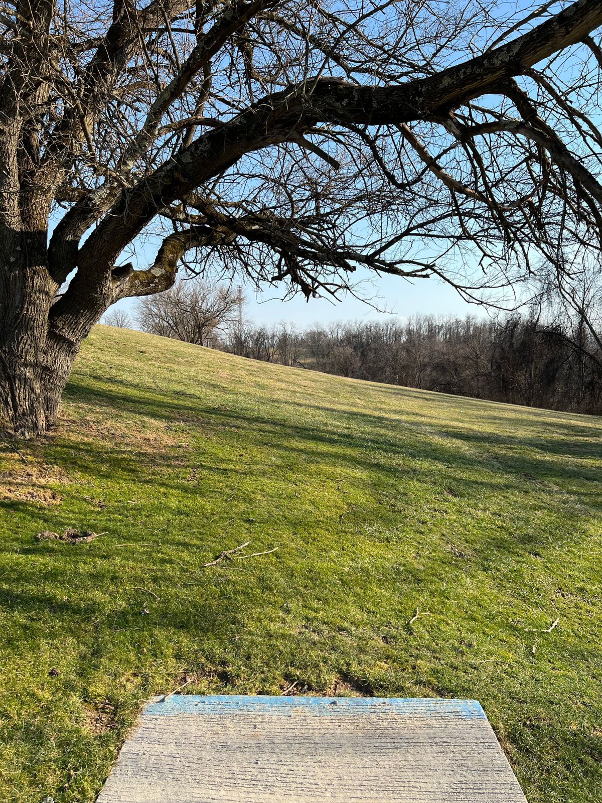Hole 4 - Blues