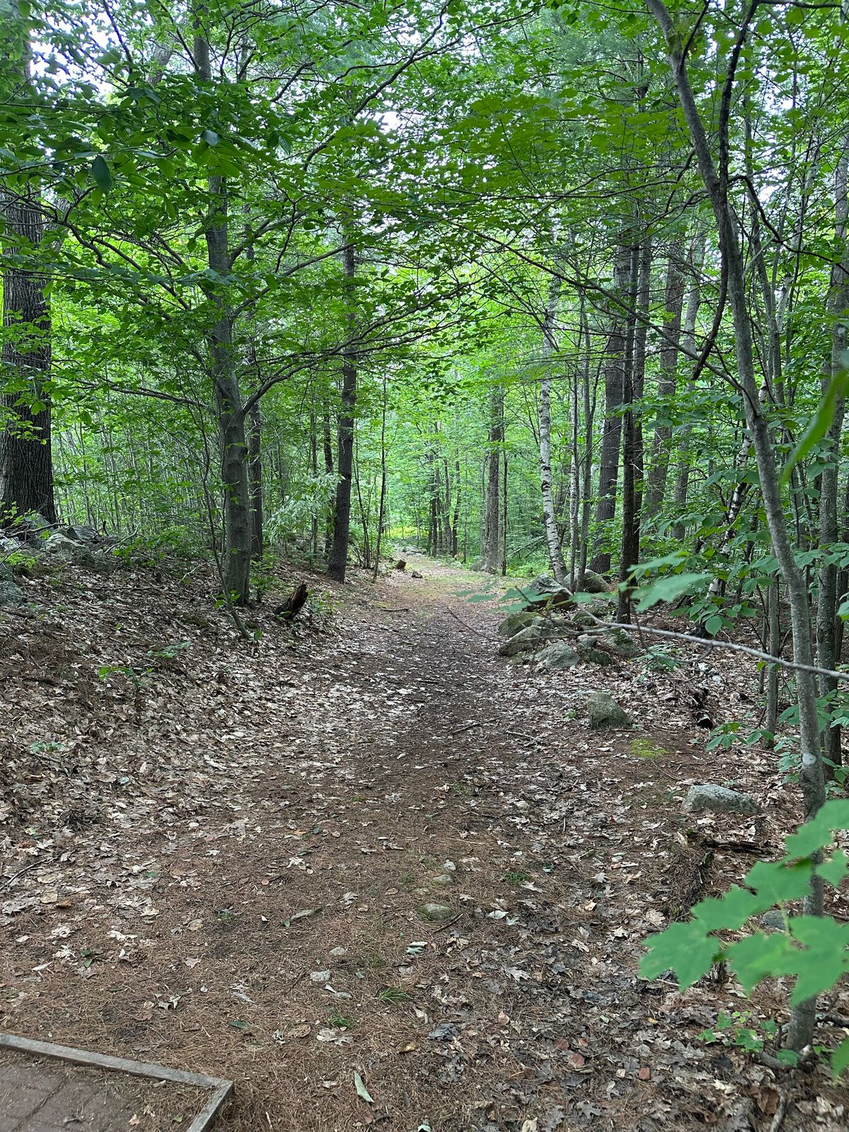 Hole 5