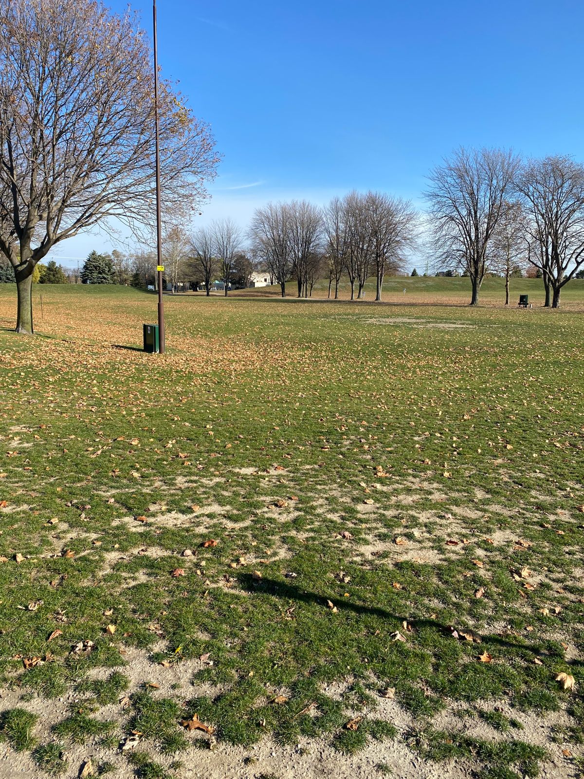 #9 long tee mando right