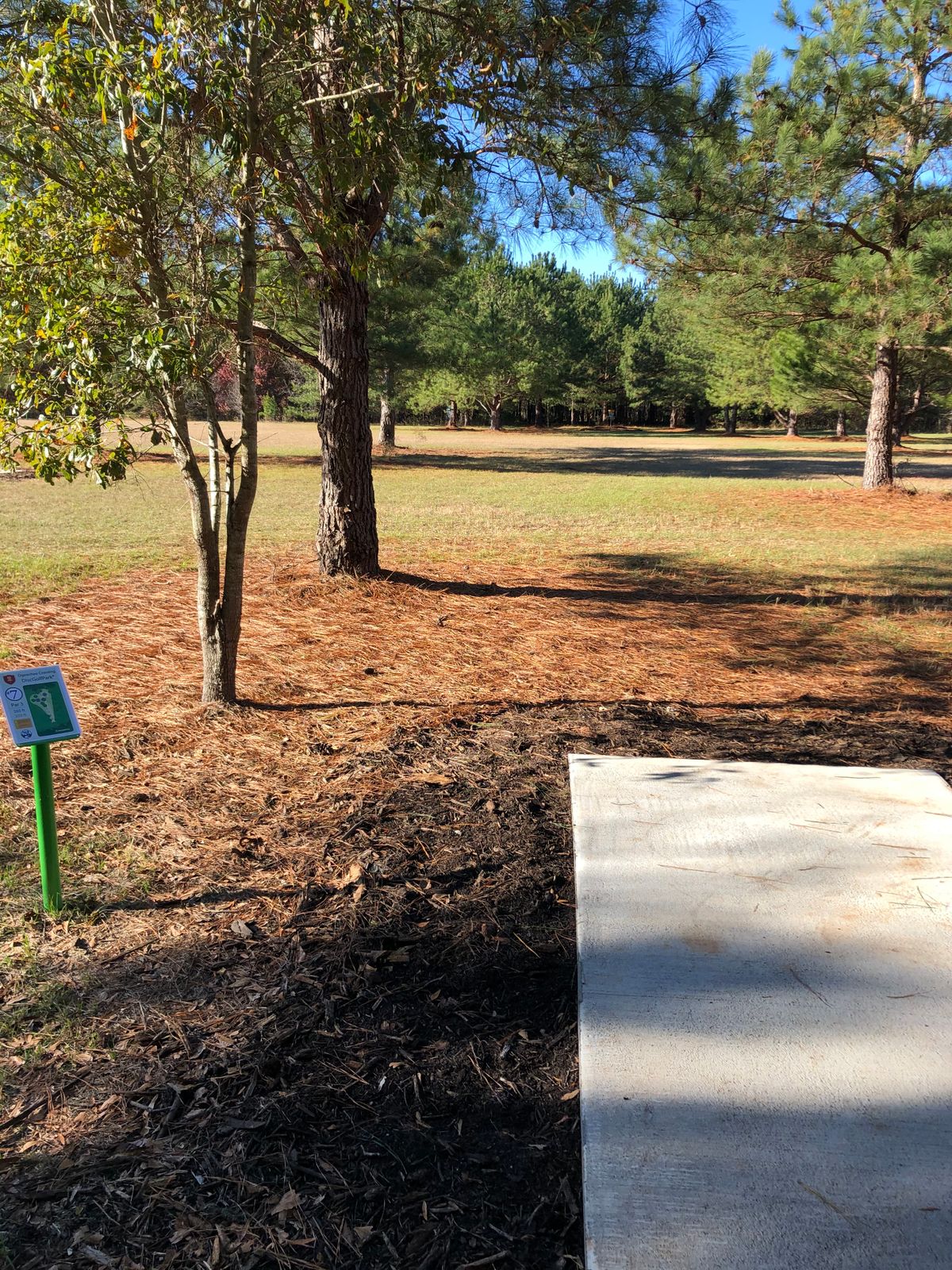 7 tee pad long