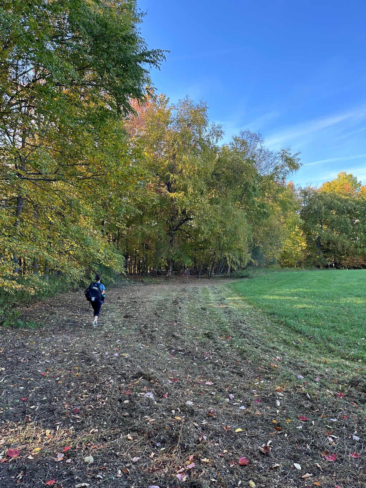 Hole 4