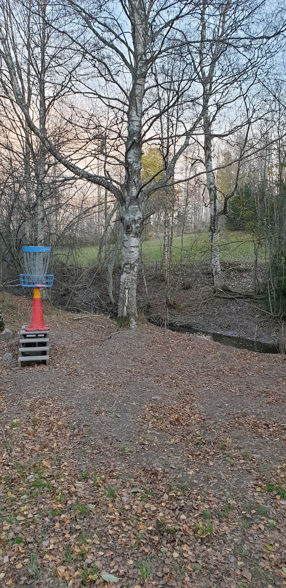 Upphöjd korg