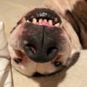 gagebright7
