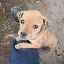 User avatar image